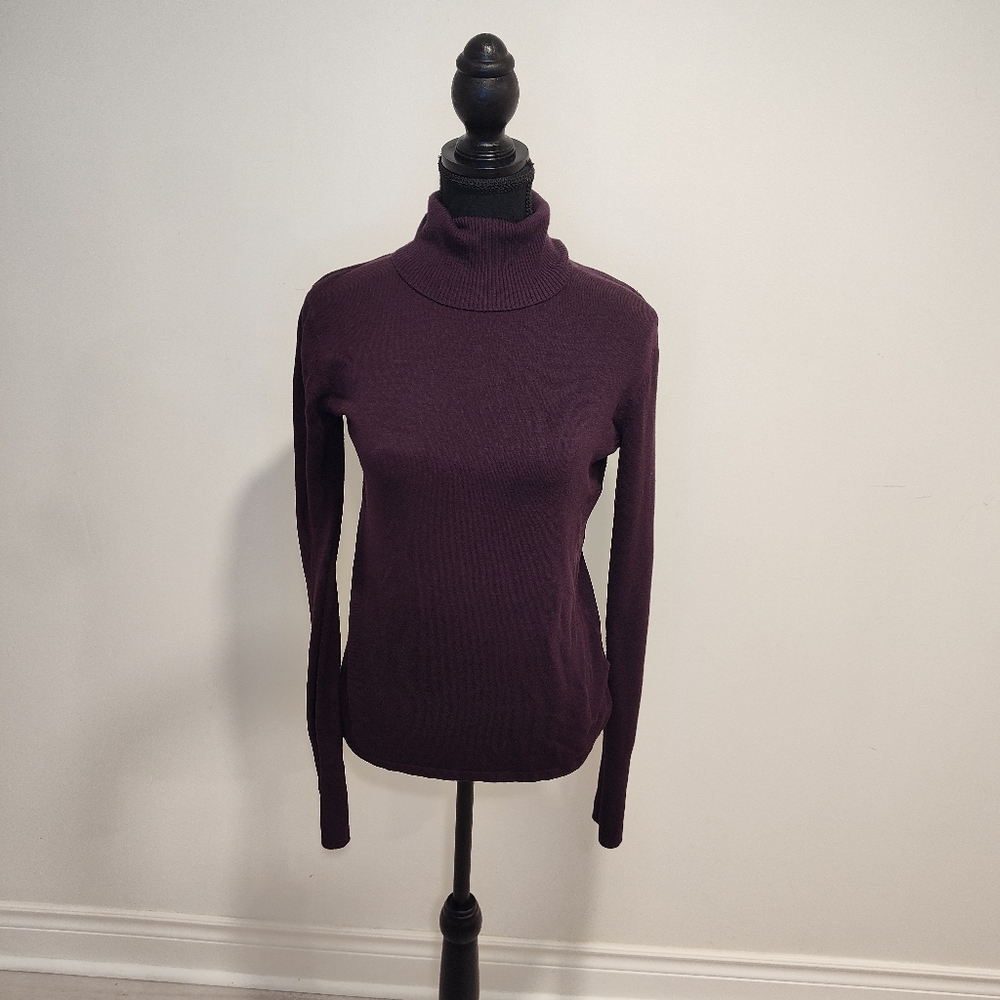 Danier Turtleneck Sweater